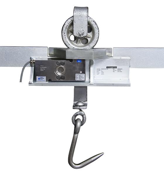 monorail-scales